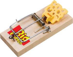 Mouse trap PNG-28438